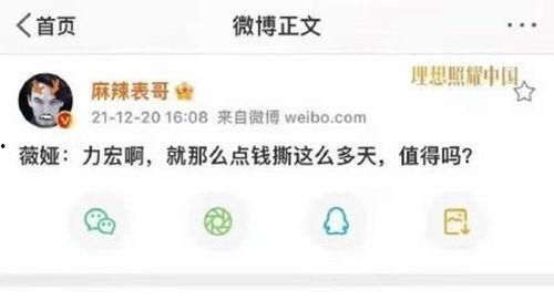 爆料吃瓜娱乐圈百度网盘,吃瓜群众齐聚百度网盘，揭秘明星幕后故事  第3张