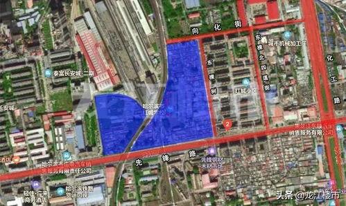 哈尔滨道外区最新爆料,揭秘神秘事件背后的真相  第2张